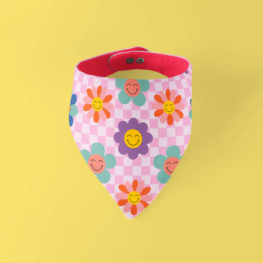 Bandana Daisy Summer