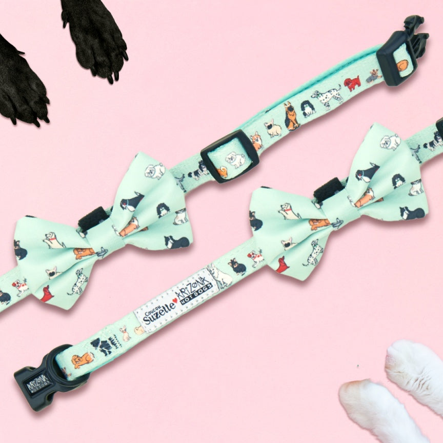 Collier Nylon pour chien - Coucou Suzette