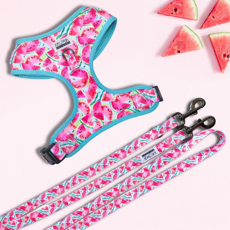 Laisse Bandoulière Pastèque