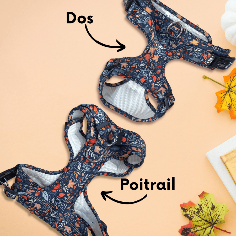 Harnais pour chien anti-traction - Comfy Fall in Love