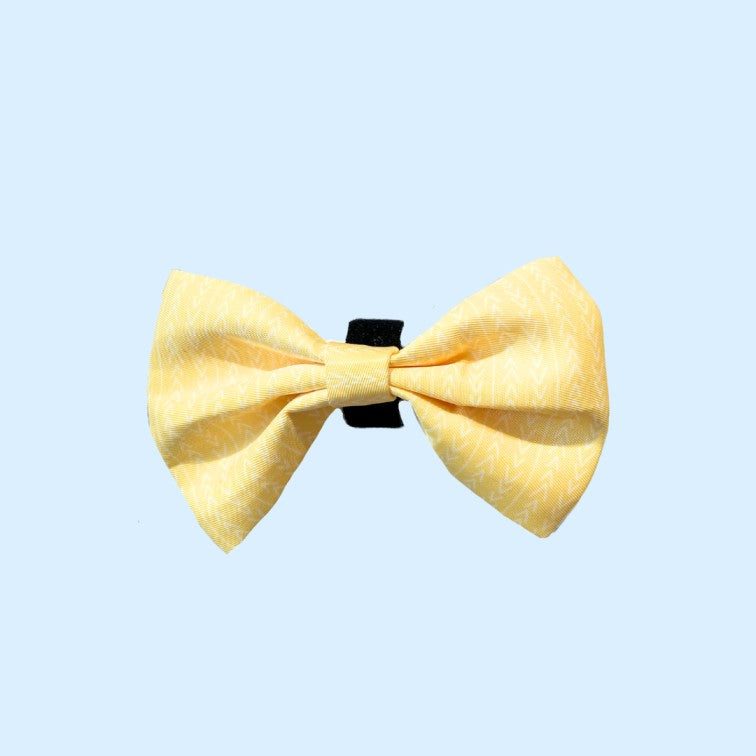 Noeud papillon pour chien - Lemon