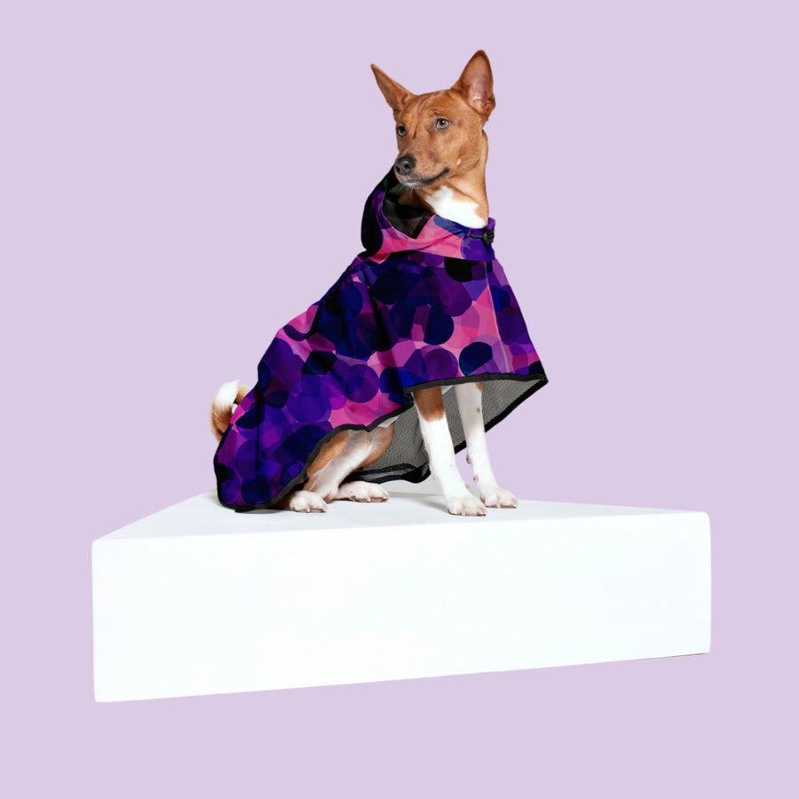Poncho de Pluie City Lights pour Chien