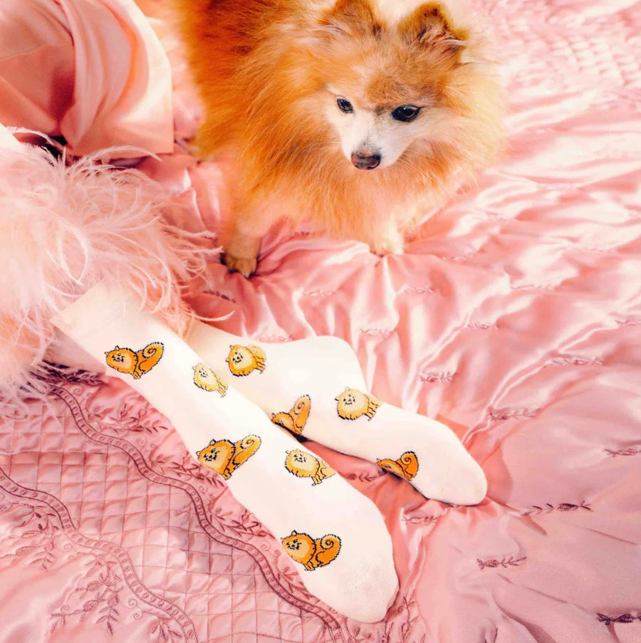 Chaussettes Spitz