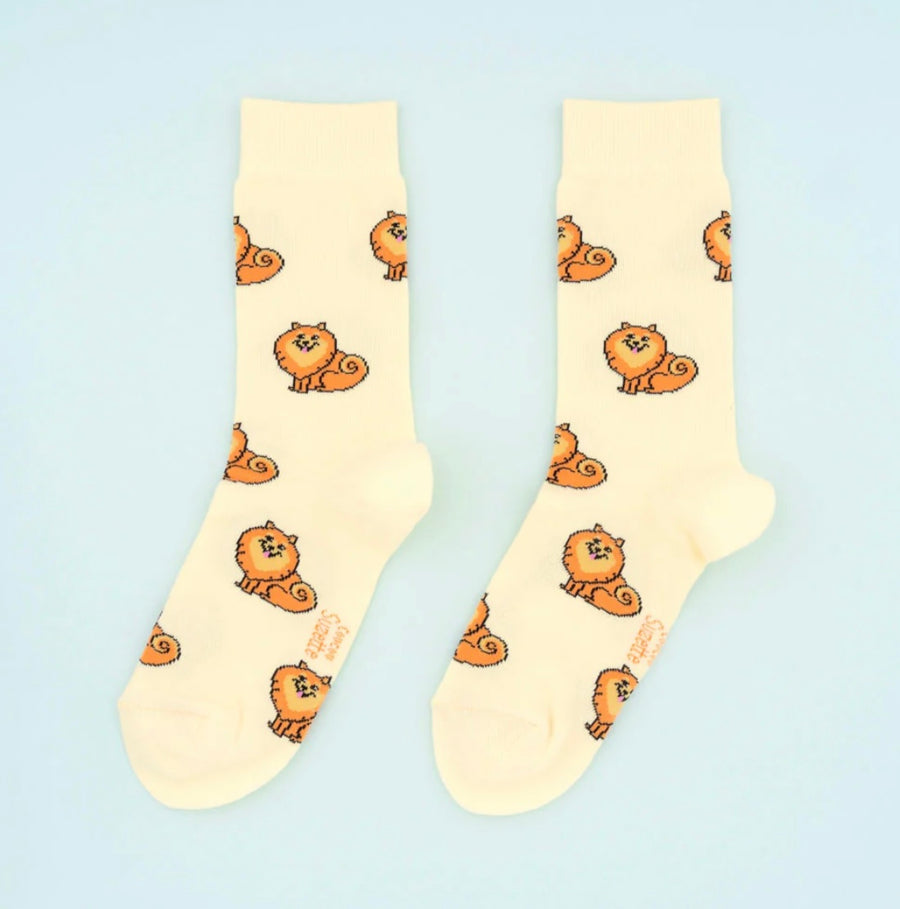 Chaussettes Spitz
