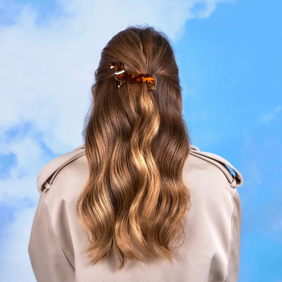 French Barrette Teckel