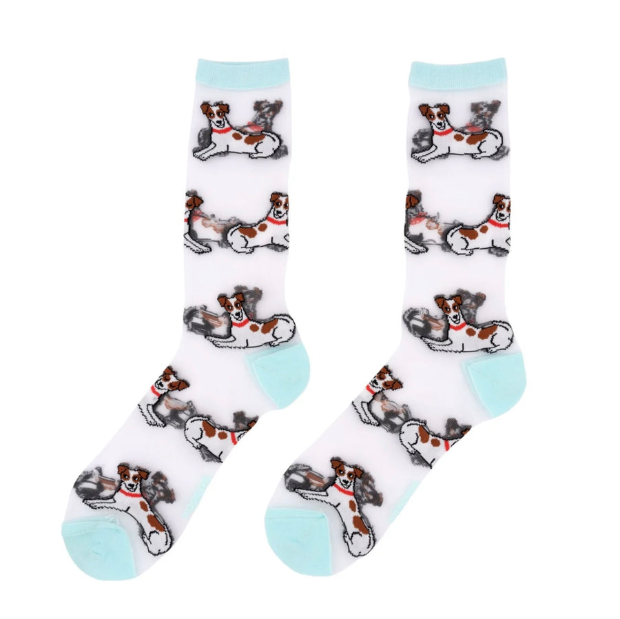 Chaussettes Transparentes Jack Russel