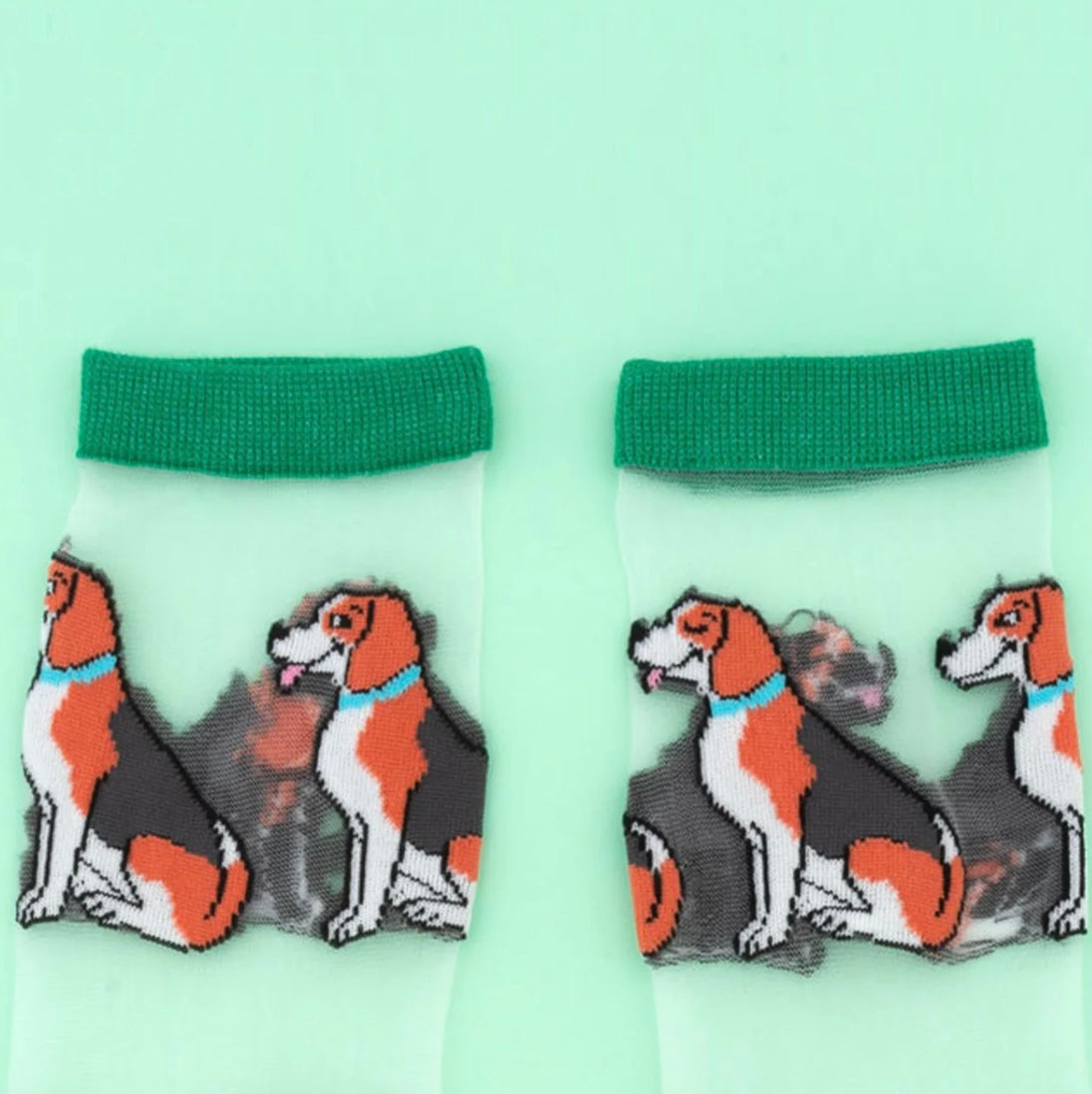 Chaussettes Transparentes Beagle