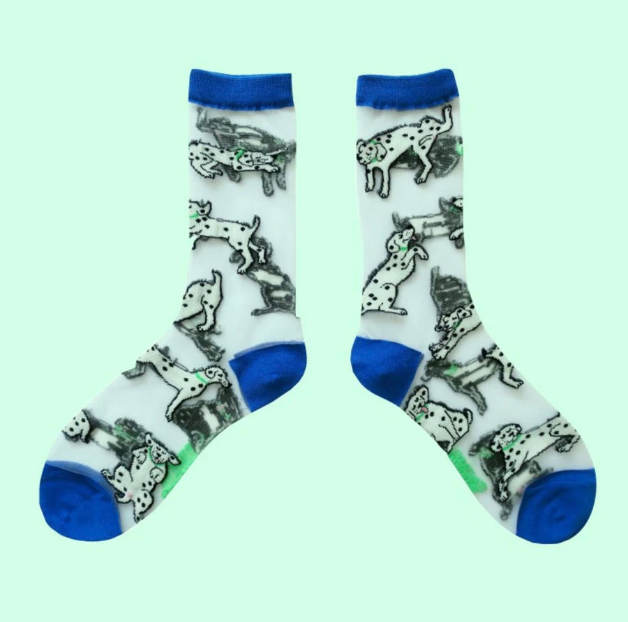 Chaussettes Transparentes Dalmatien