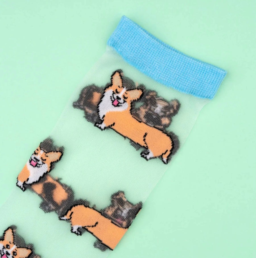 Chaussettes Transparentes Corgi