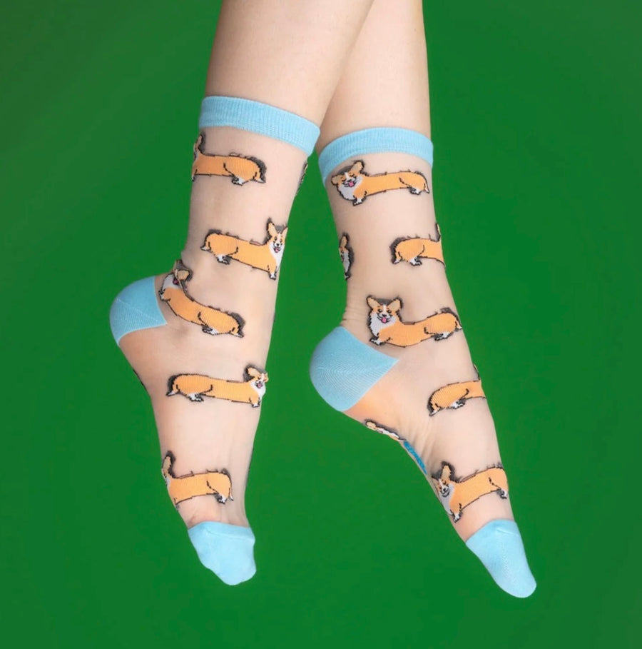 Chaussettes Transparentes Corgi