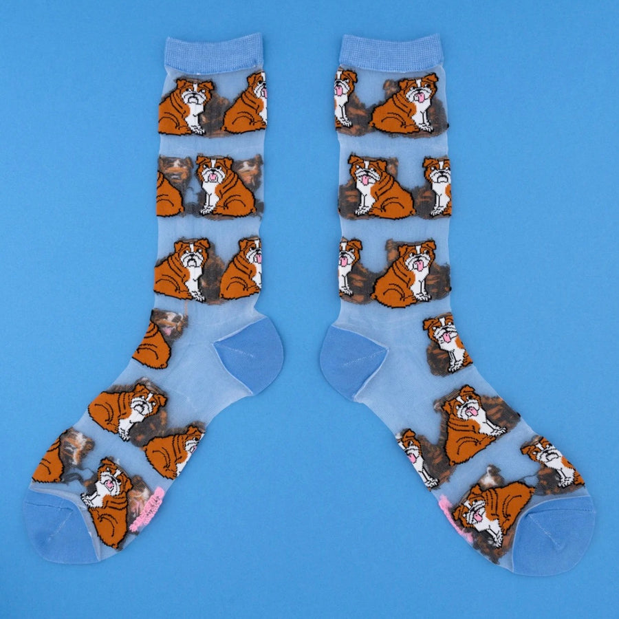 Chaussettes Transparentes Bouledogue Anglais