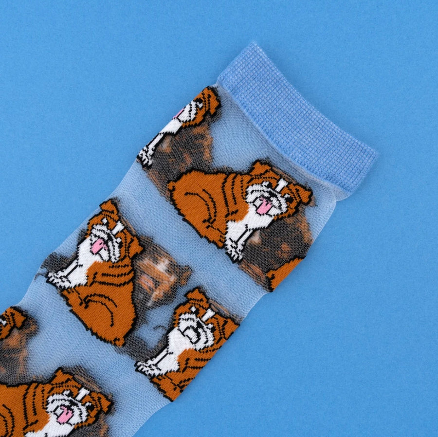 Chaussettes Transparentes Bouledogue Anglais