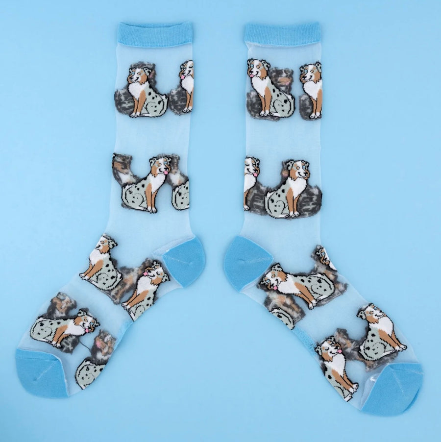 Chaussettes Transparentes Berger Australien