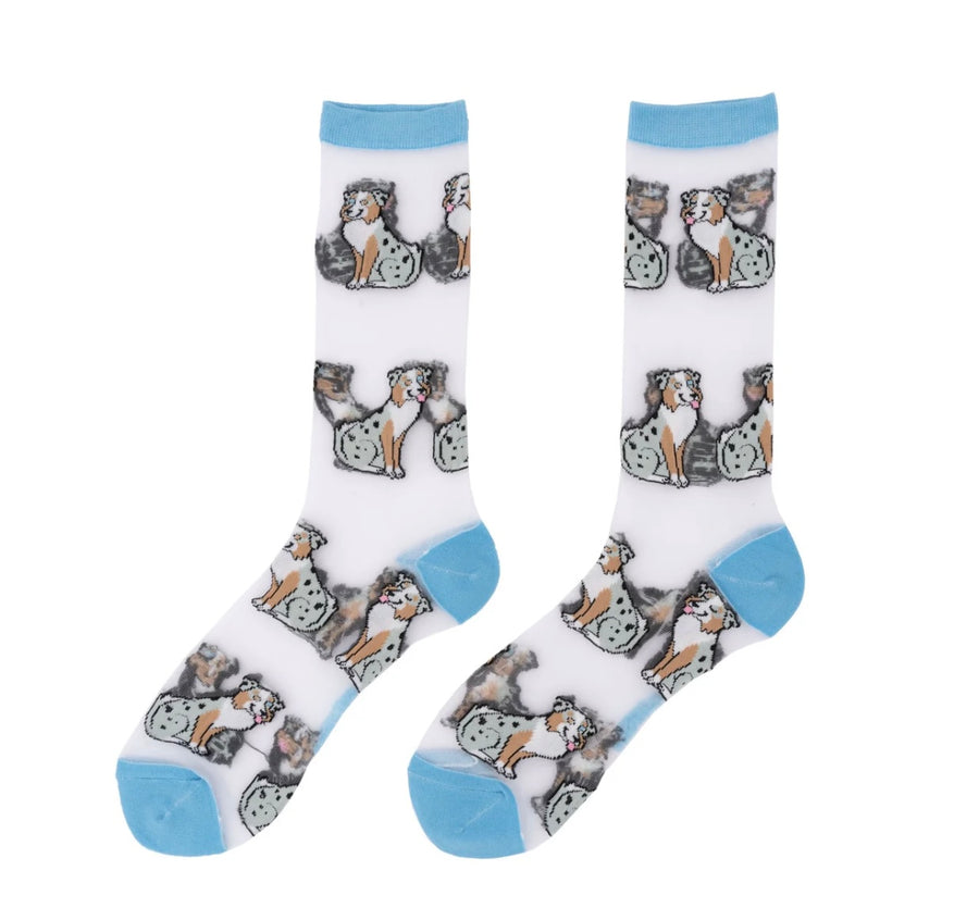 Chaussettes Transparentes Berger Australien