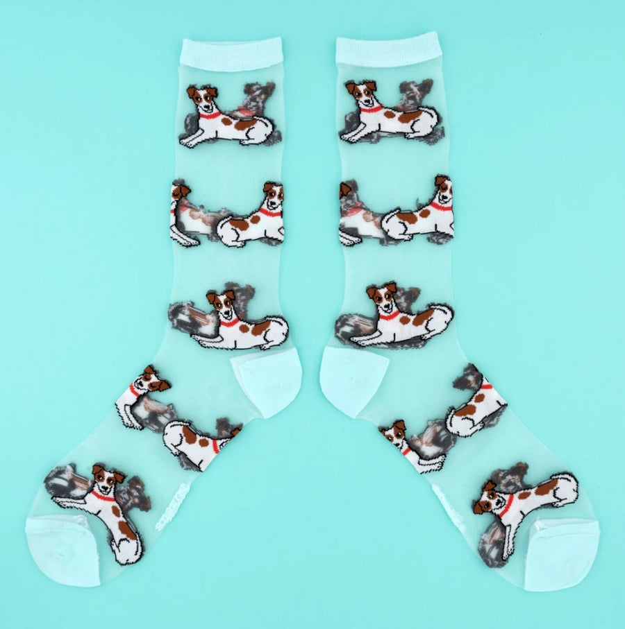 Chaussettes Transparentes Jack Russel