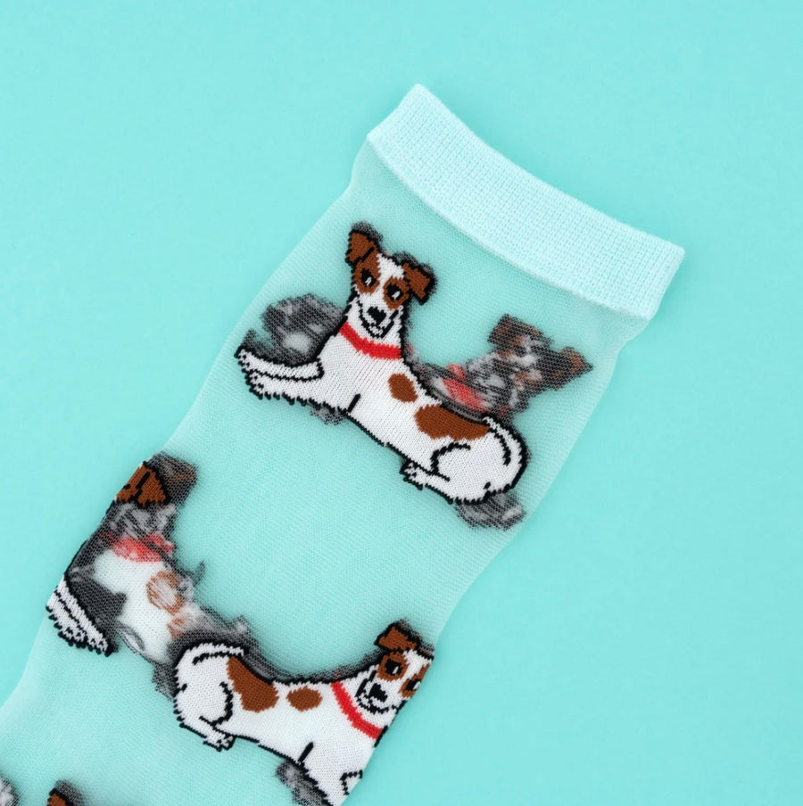 Chaussettes Transparentes Jack Russel