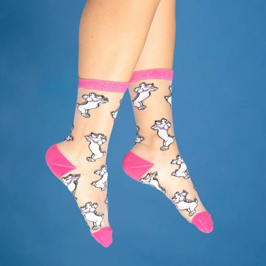 Chaussettes Transparentes Caniche