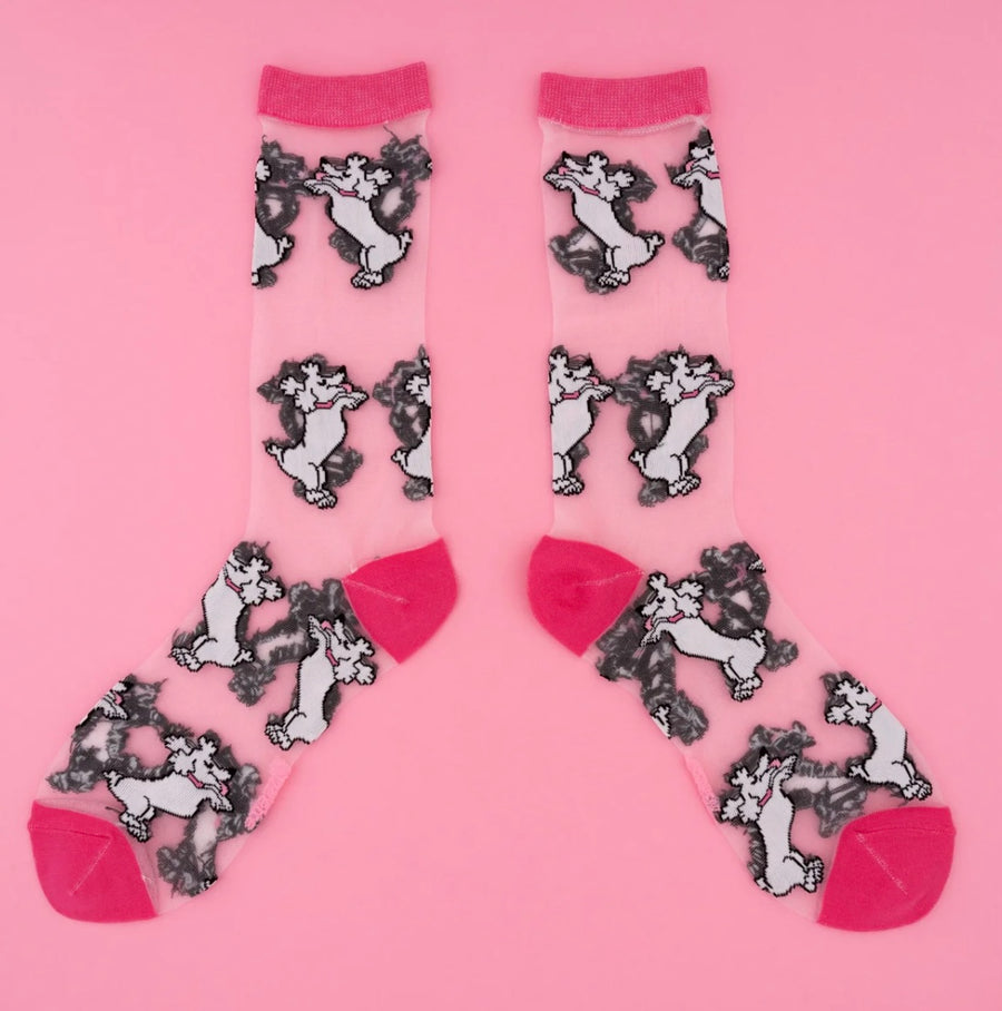 Chaussettes Transparentes Caniche