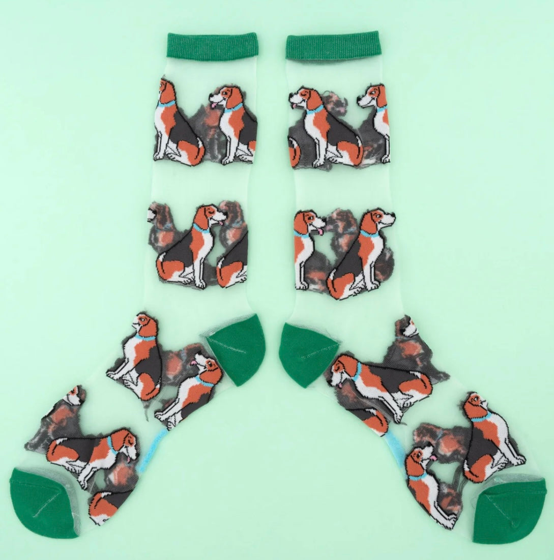 Chaussettes Transparentes Beagle