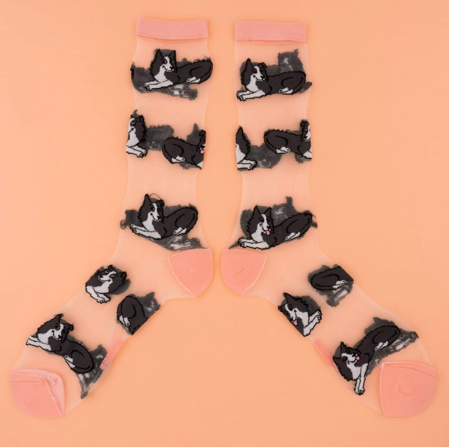 Chaussettes Transparentes Border Collie