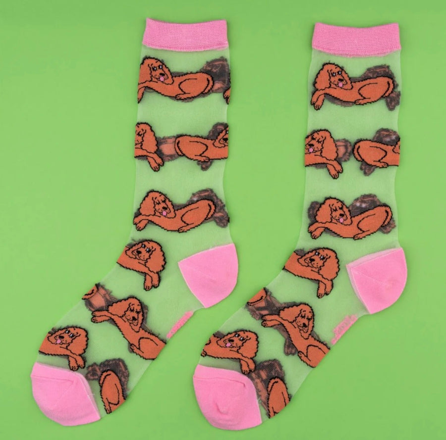 Chaussettes Transparentes Cocker