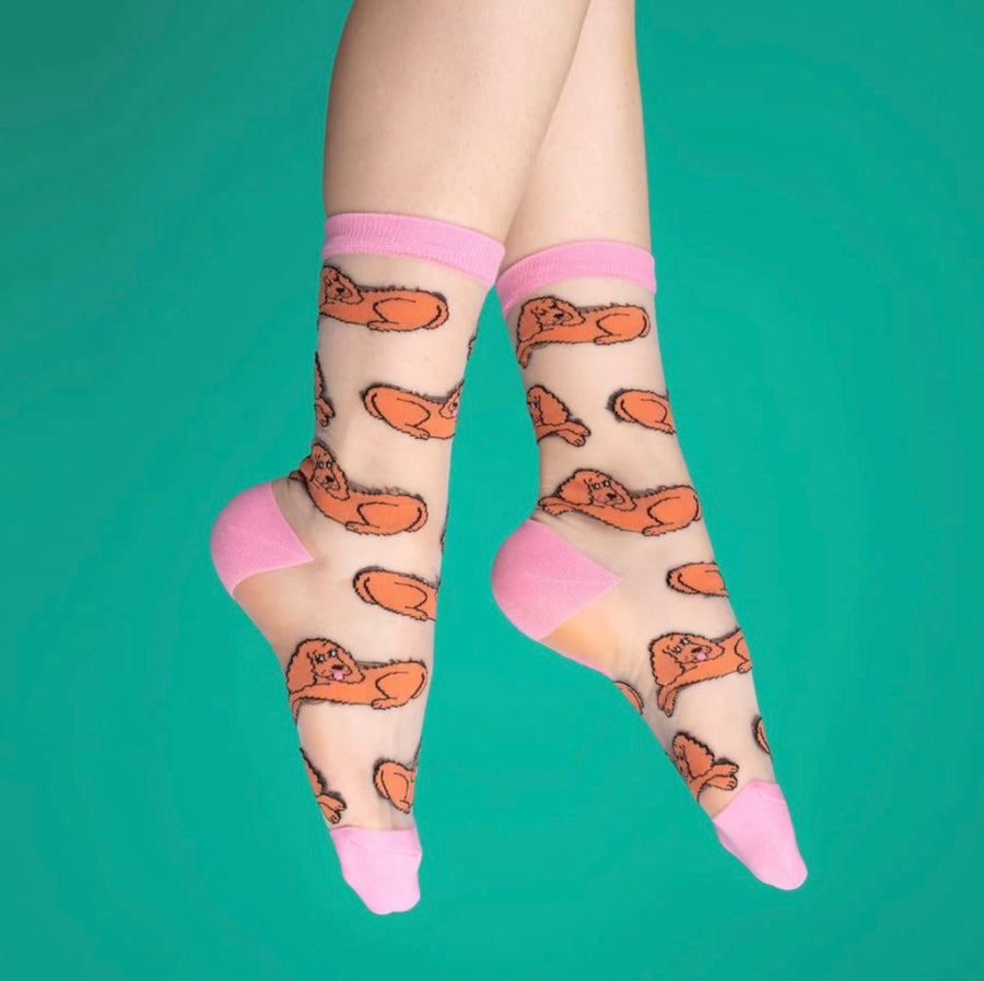 Chaussettes Transparentes Cocker