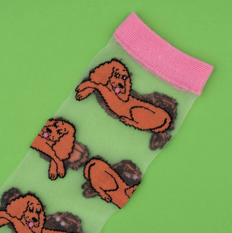 Chaussettes Transparentes Cocker