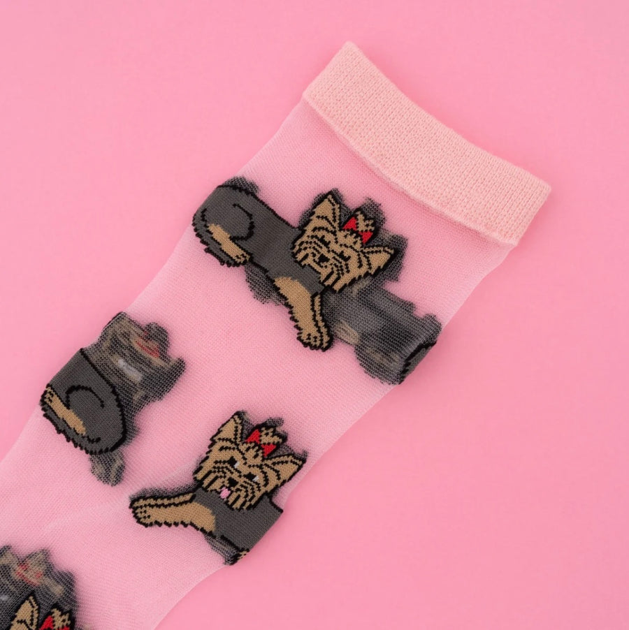 Chaussettes Transparentes Yorkshire