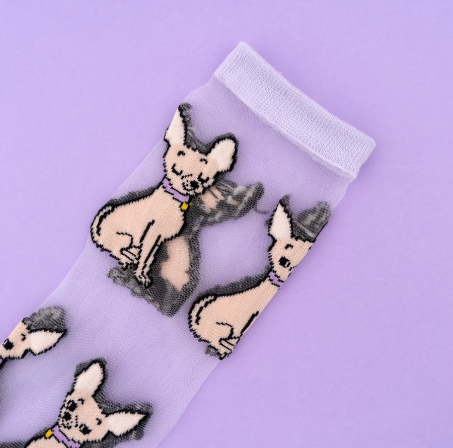 Chaussettes Transparentes Chihuahua