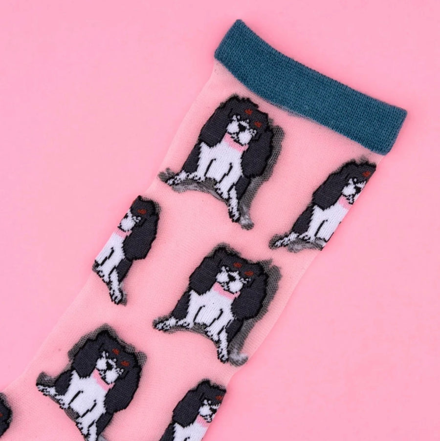 Chaussettes Transparentes Cavalier