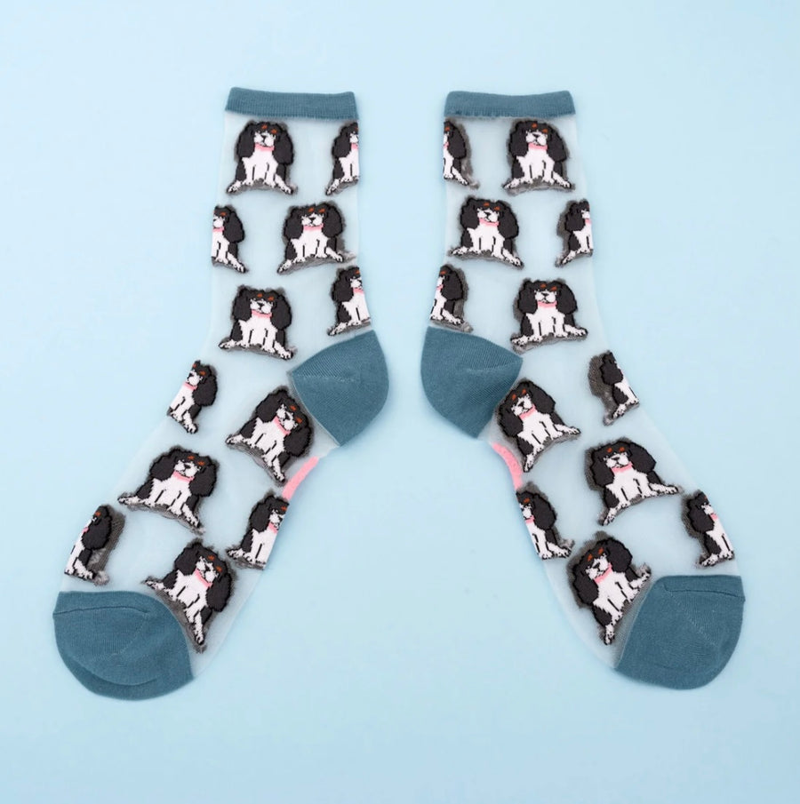 Chaussettes Transparentes Cavalier