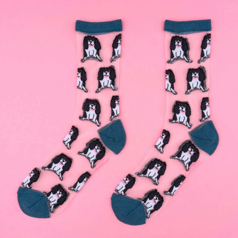 Chaussettes Transparentes Cavalier