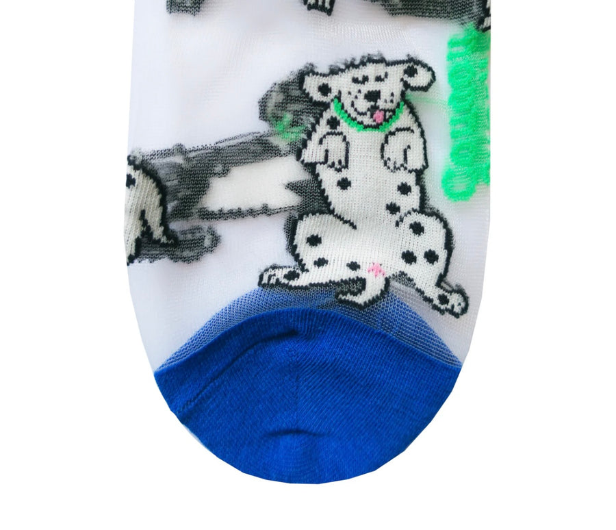 Chaussettes Transparentes Dalmatien