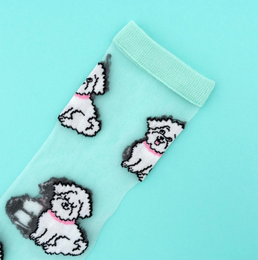 Chaussettes Transparentes Bichon