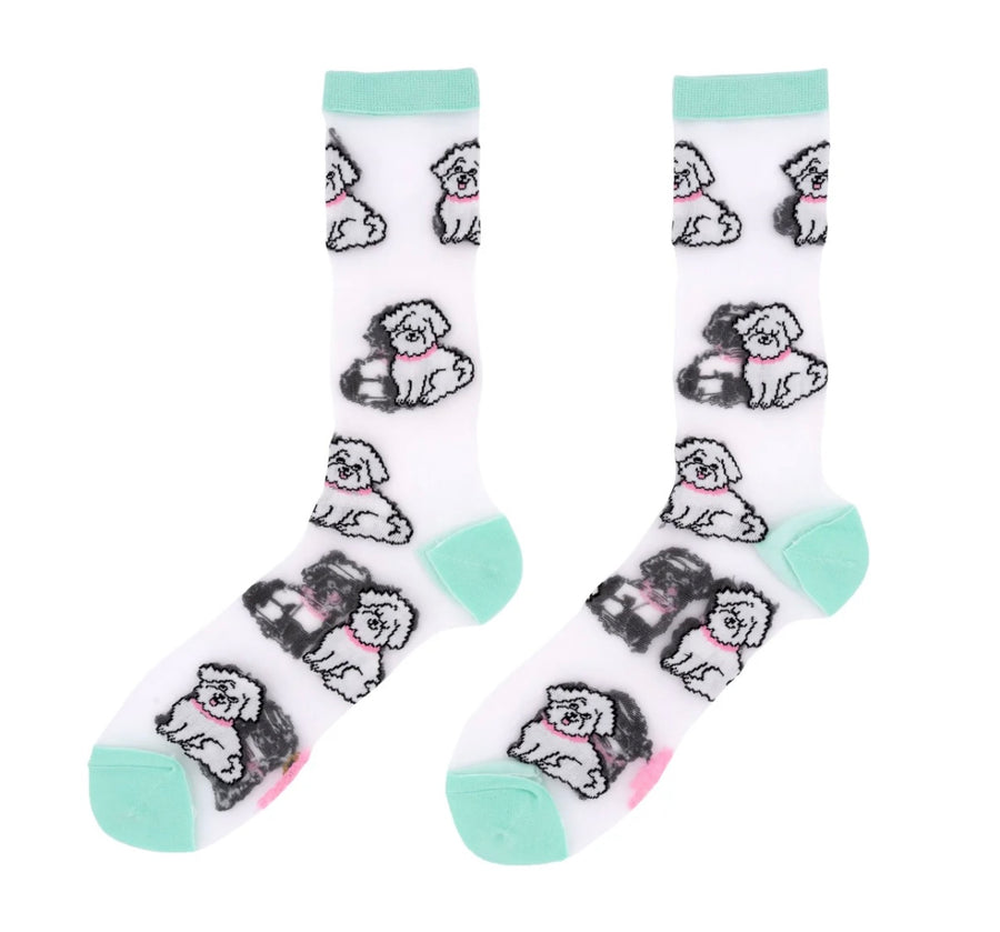 Chaussettes Transparentes Bichon