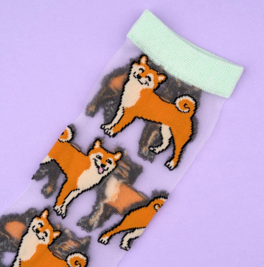 Chaussettes Transparentes Shiba