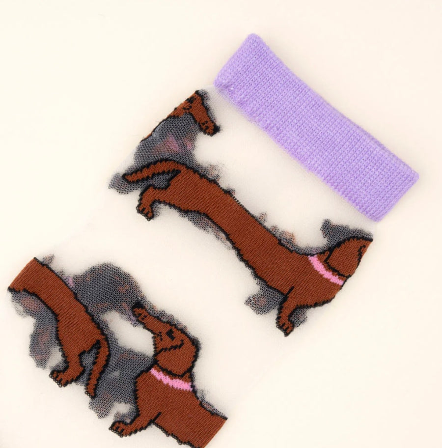 Chaussettes Transparentes Teckel