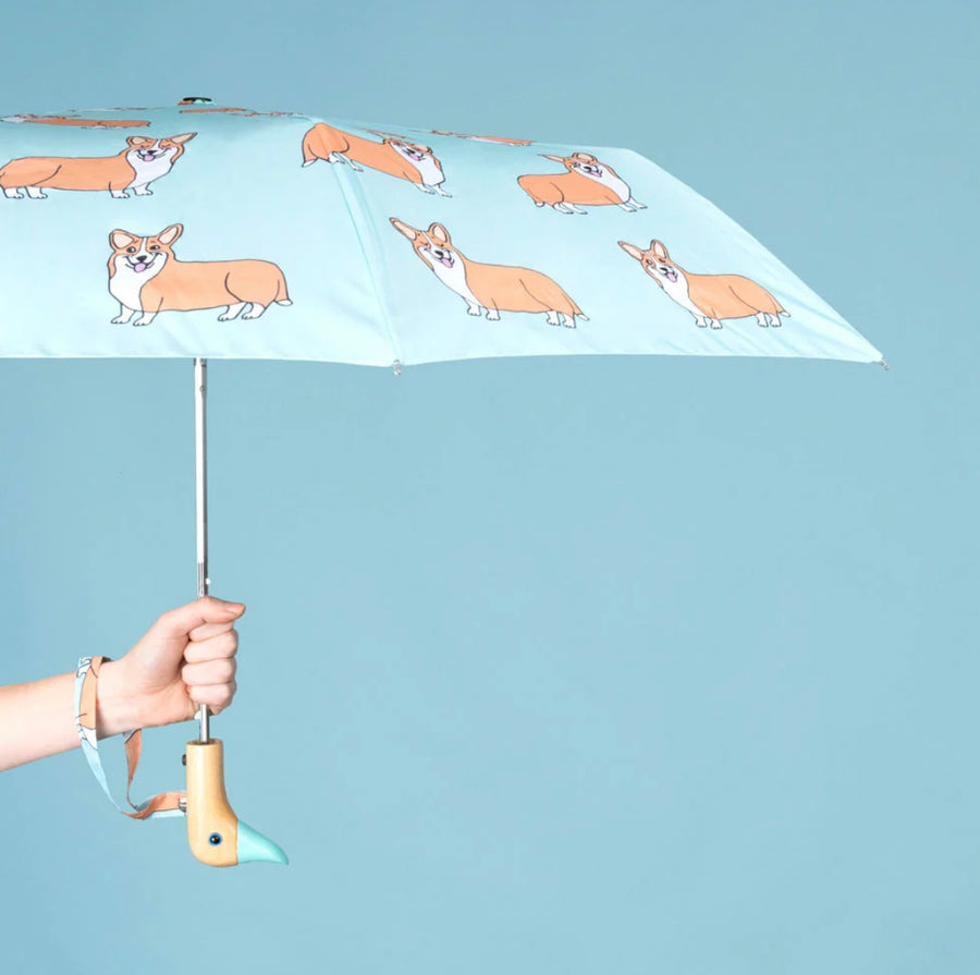 Parapluie Corgi