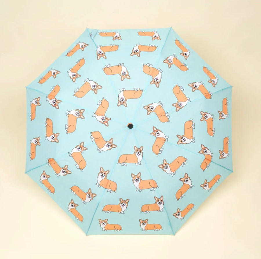 Parapluie Corgi
