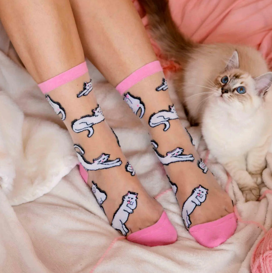Chaussettes Transparentes Chat Blanc