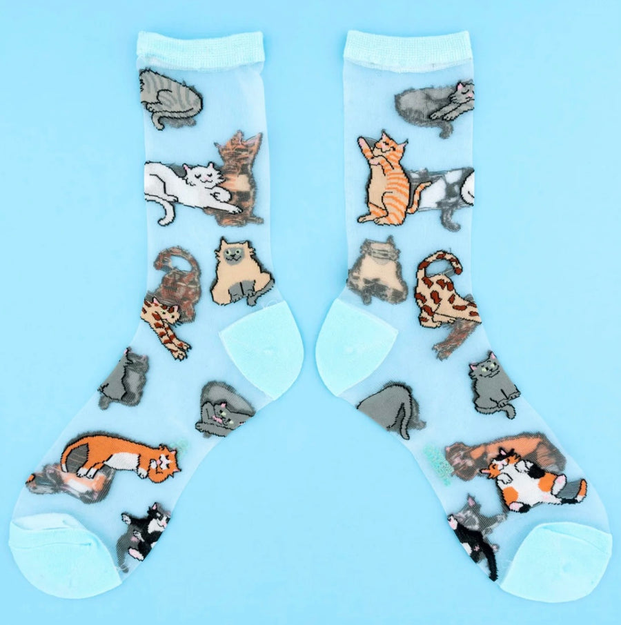 Chaussettes Transparentes Miaou