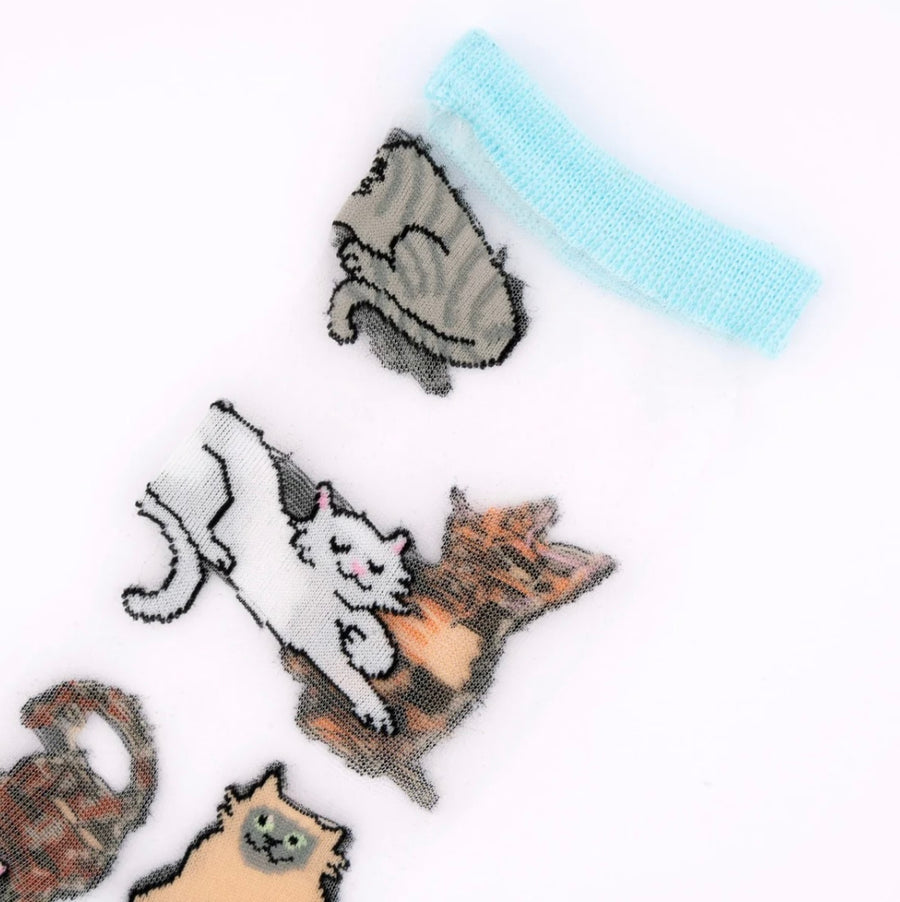 Chaussettes Transparentes Miaou