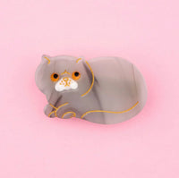 Thumbnail for Barrette Chat Exotic Shorthair Gris