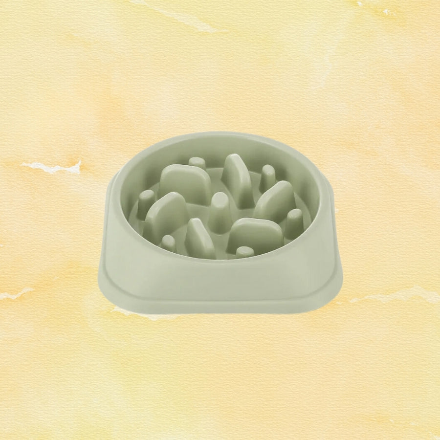 Gamelle Anti Glouton Verte