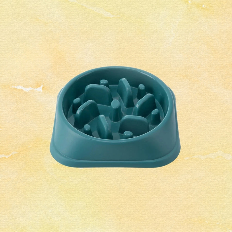 Gamelle Anti Glouton Teal