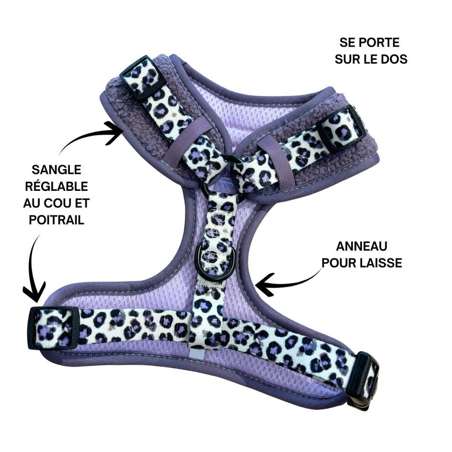 Harnais pour chien en H - Teddy Lila