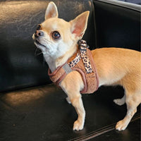 Thumbnail for Harnais Step-In Teddy Brun