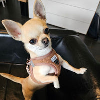 Thumbnail for Harnais Step-In Teddy Brun