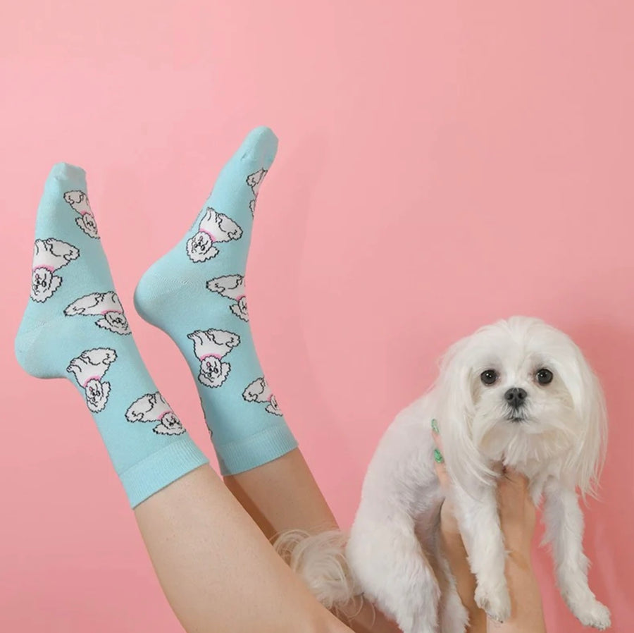 Chaussettes Bichon