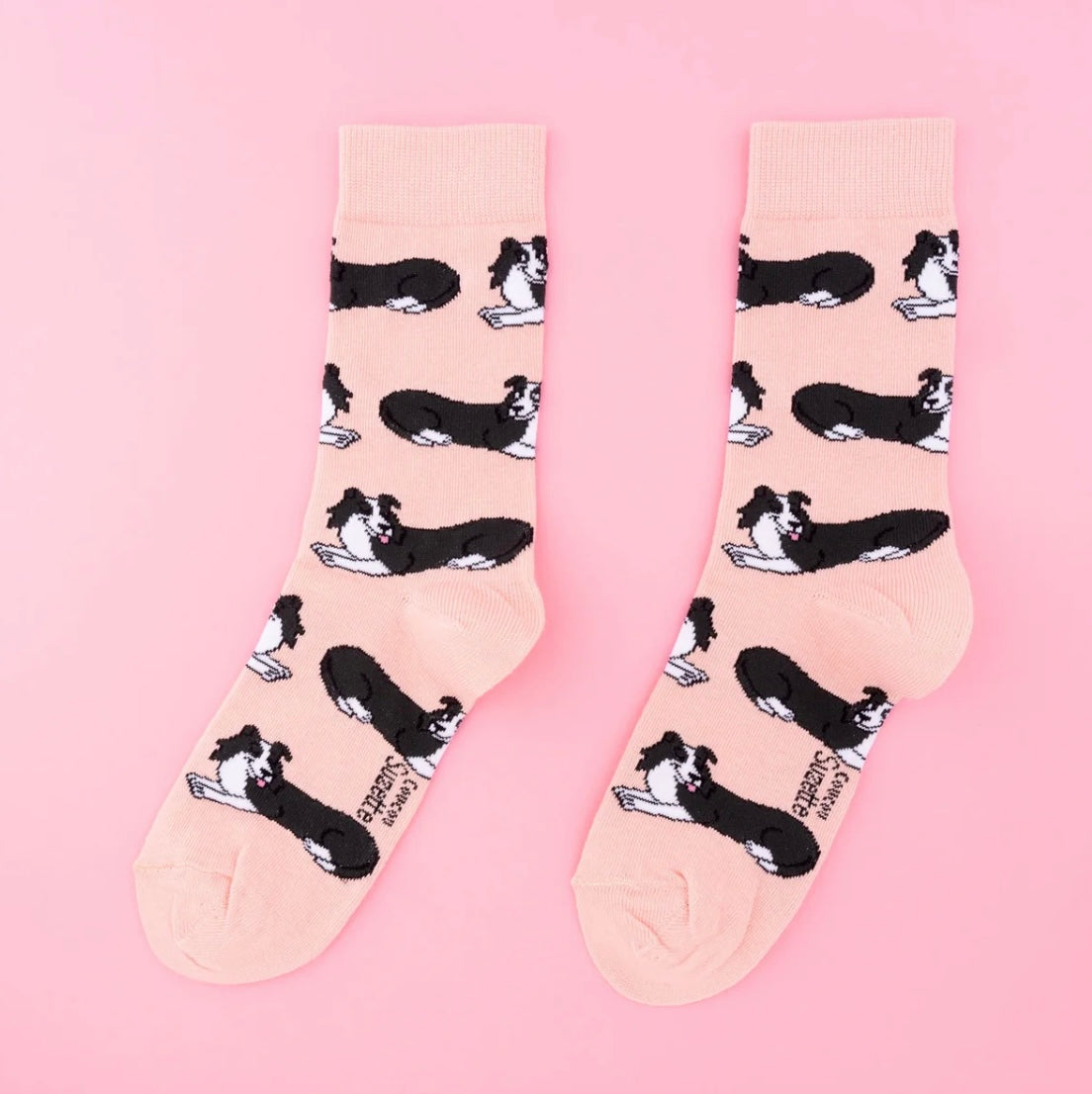 Chaussettes Border Collie